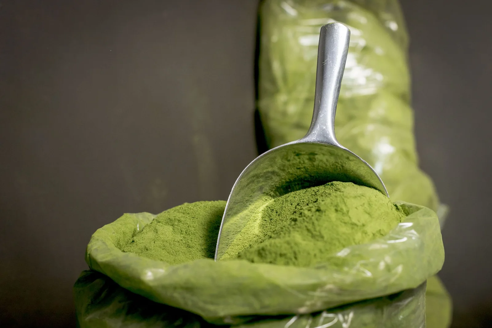 Metal scoop in a sack of fine green leaf powder