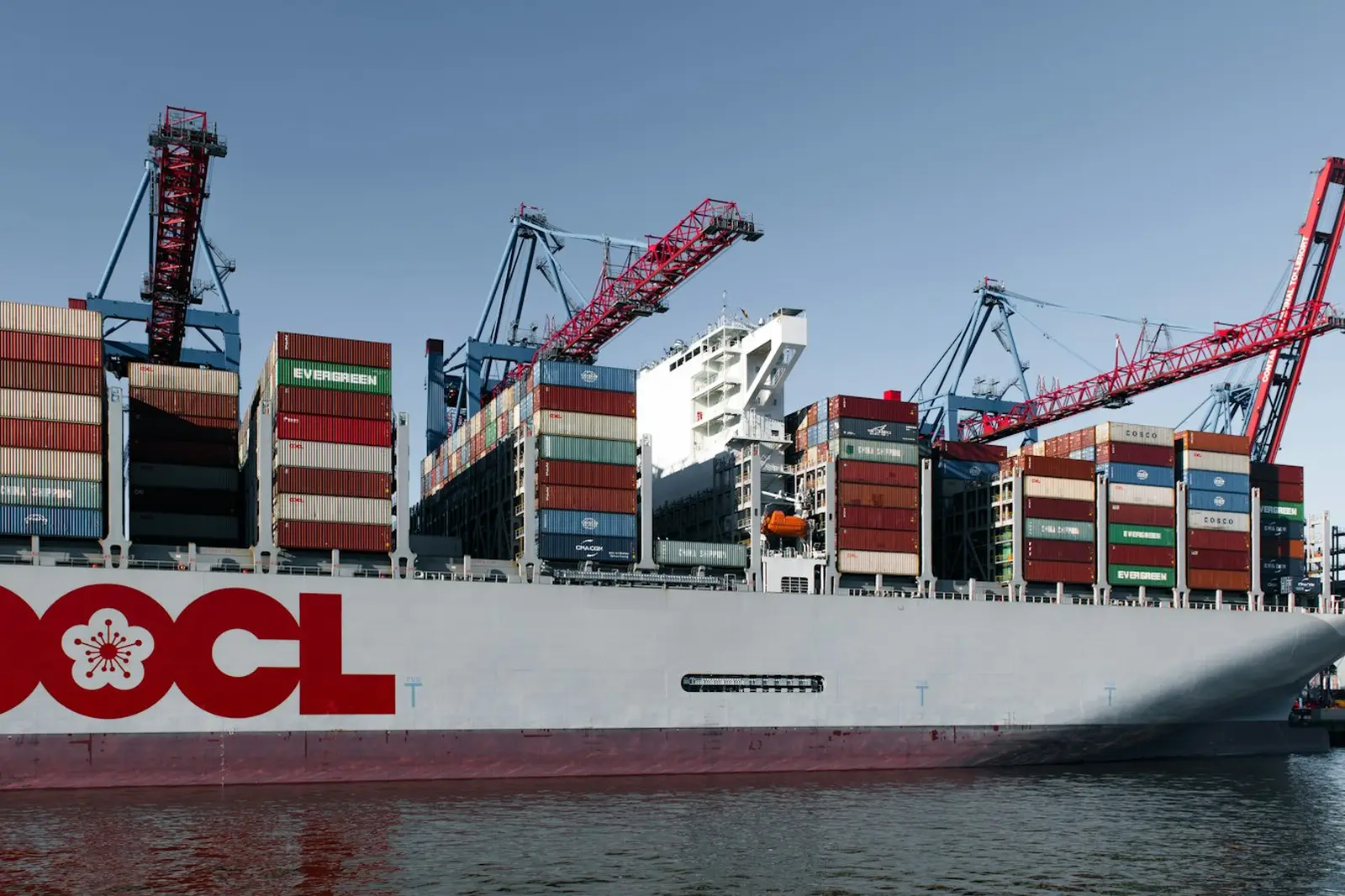 Container terminal with cranes and stacked containers