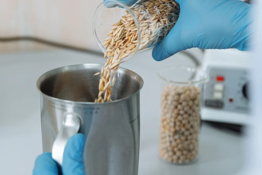 Gloved hands pouring a grain sample into a steel beaker